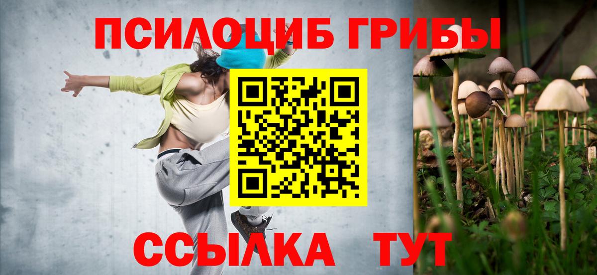 Псилоцибиновые грибы прущие грибы Славянск-на-Кубани