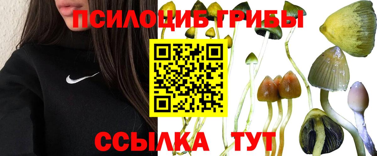 Галлюциногенные грибы прущие грибы  Вход с VPN  закладки  Псилоцибиновые грибы MAGIC MUSHROOMS  Славянск-на-Кубани 